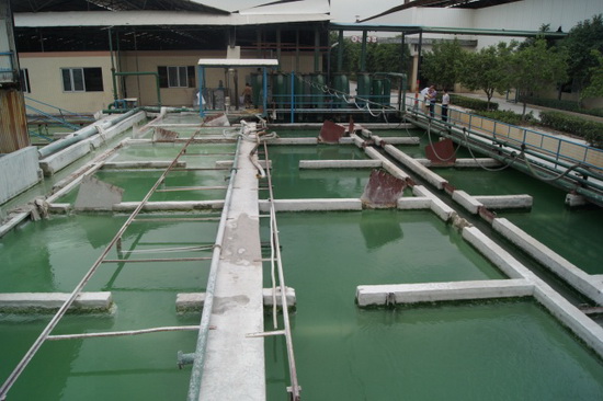 腾博会官网 - 诚信为本,专业效劳!