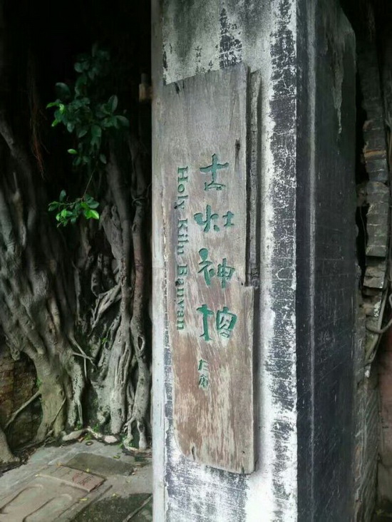 腾博会官网 - 诚信为本,专业效劳!