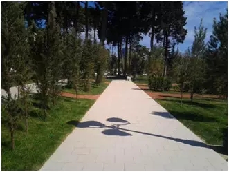 腾博会官网 - 诚信为本,专业效劳!