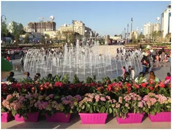 腾博会官网 - 诚信为本,专业效劳!