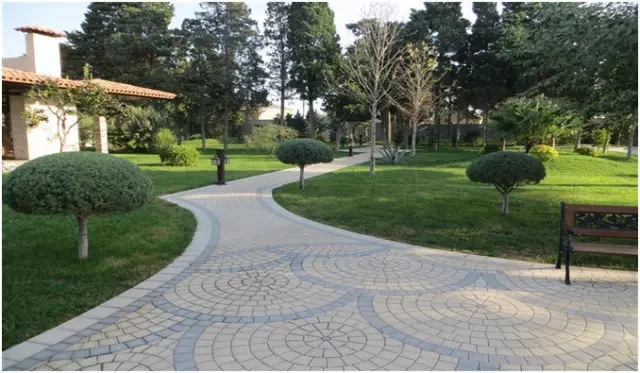 腾博会官网 - 诚信为本,专业效劳!