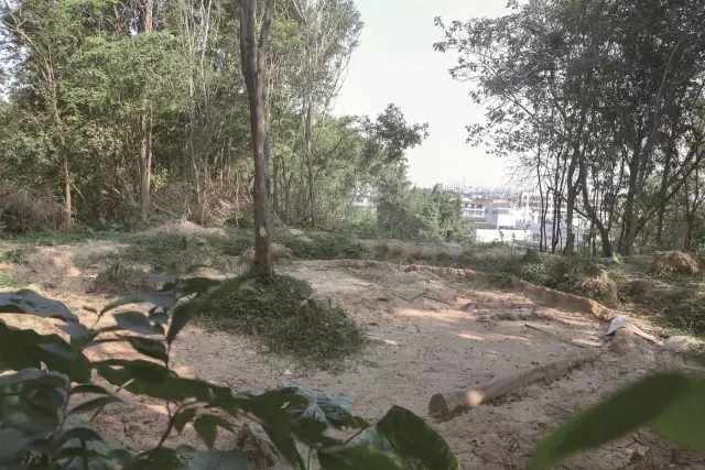 腾博会官网 - 诚信为本,专业效劳!