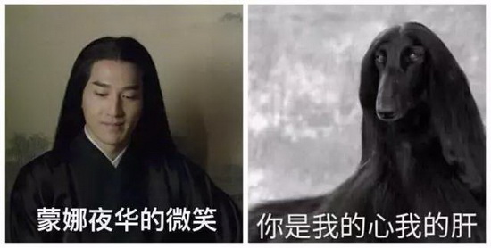 腾博会官网 - 诚信为本,专业效劳!