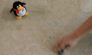 腾博会官网 - 诚信为本,专业效劳!