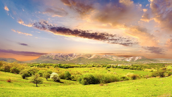 腾博会官网 - 诚信为本,专业效劳!