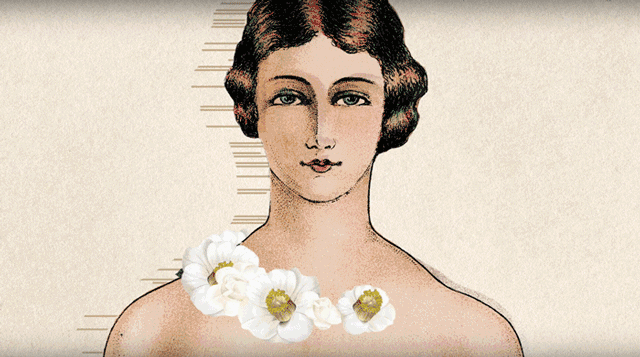 腾博会官网 - 诚信为本,专业效劳!