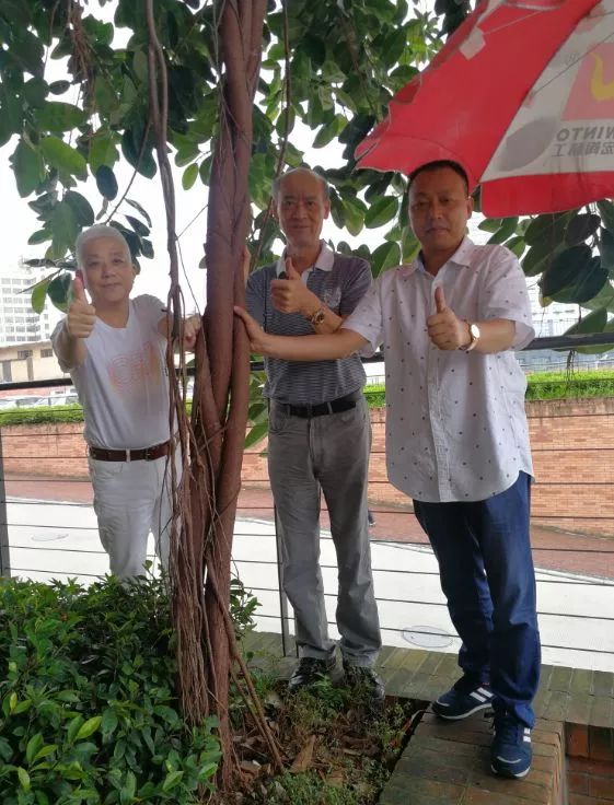 腾博会官网 - 诚信为本,专业效劳!