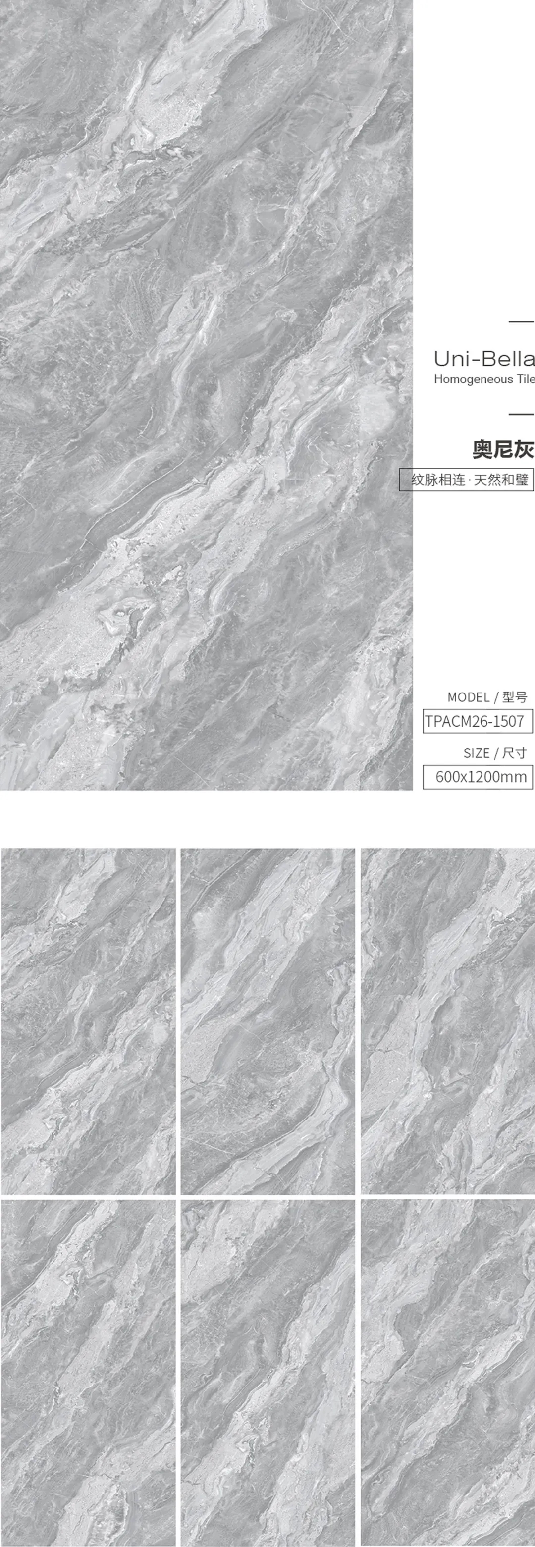 腾博会官网和璧岩·通体灰色瓷砖地砖