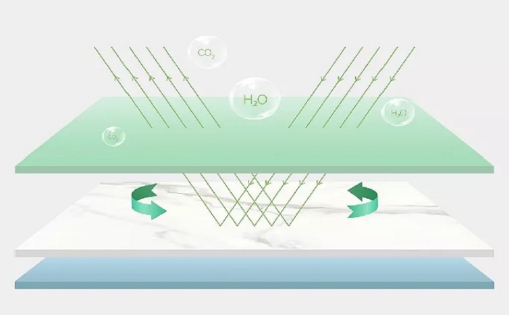 佛山腾博会官网图片