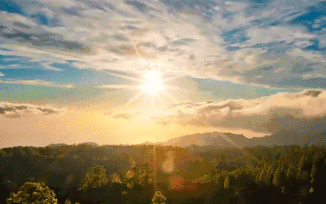 腾博会官网陶瓷