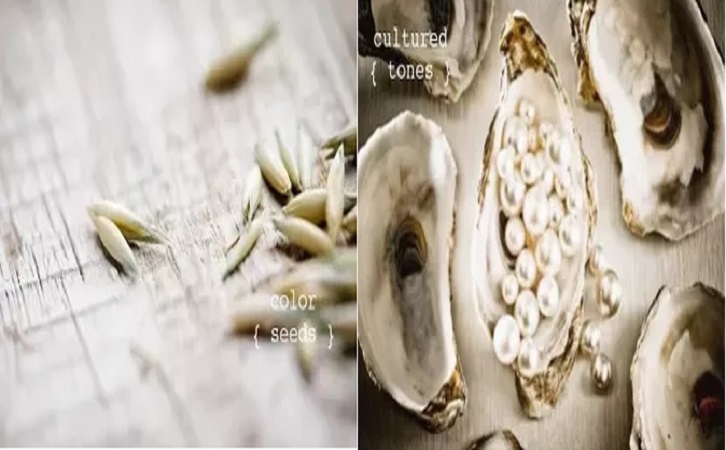 腾博会官网陶瓷