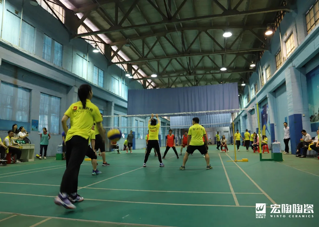 气排球混淆组图