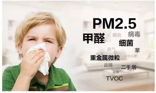 腾博会官网康健净界瓷砖地砖