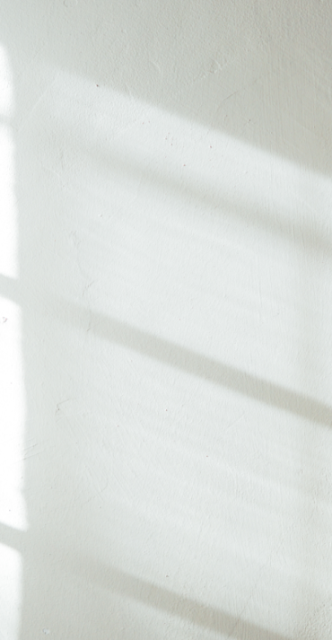 腾博会官网质感砖