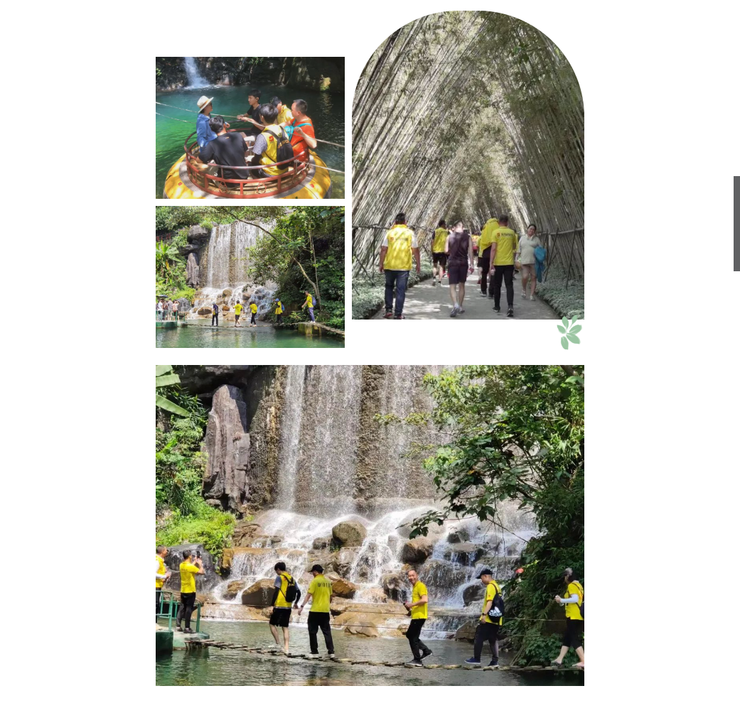 腾博会官网 - 诚信为本,专业效劳!